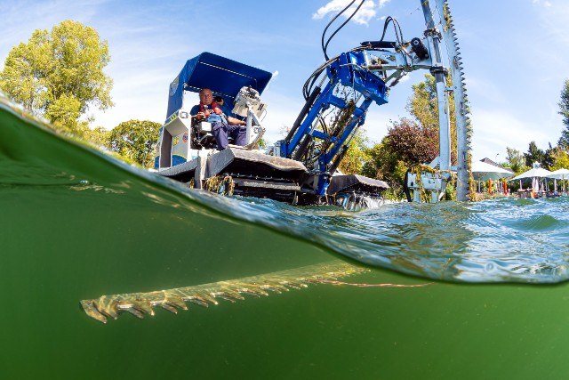 Mowing boat in action, photographed from the water