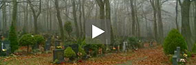 Videoausschnitt mit Play-Button: Gräberreihen auf dem Friedhof Neustift
