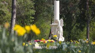 Mozart's grave decorated with flowers