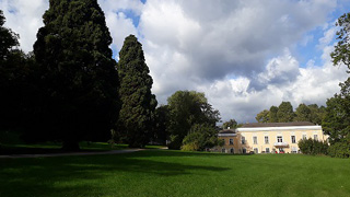 copyright: MA 42 View over a meadow to trees