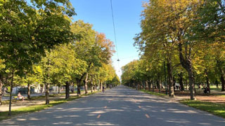 copyright: Wiener Stadtgärten Hauptallee in the Prater