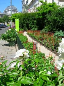 copyright: MA 42 Flowerbed alongside a fence