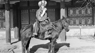 copyright: Arnold Arboretum Horticultural Library Rock sitting on horseback
