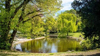 copyright: Wiener Stadtgärten/Houdek Pond in a park