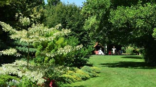 Meadow and trees, small house in the background