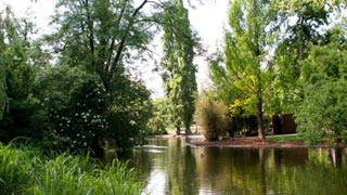 copyright: Wiener Stadtgärten Pond in a park