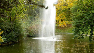 copyright: Wiener Stadtgärten/Felicitas Matern Wasserfontäne in einem Teich