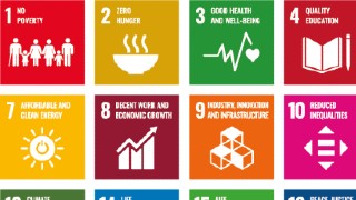 17 goals for Sustainable Development