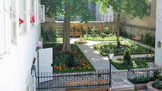 garden at the Haydn house