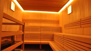 Sauna Penzingerbad