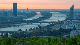 Blick ber Neue Donau und Donau mit Brcken, Weinbergen und Gebuden