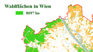 Waldflächen in Wien in Hektar