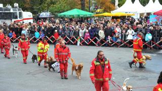 Hundestaffel beim Sicherheitsfest am Rathausplatz