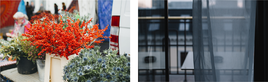 Zwei Fotos: Zierpflanzen, Blick von innen auf einen Balkon