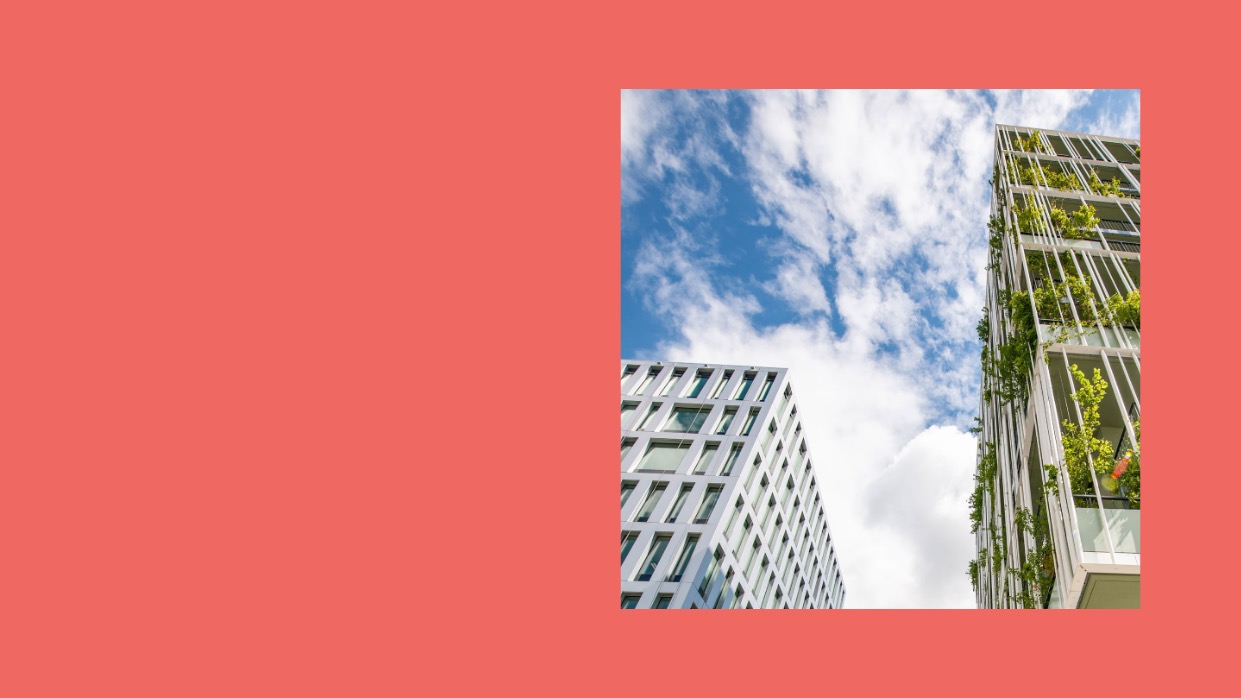 Fotografie mit Blick in den Himmel umgeben von einem Wohnhaus mit Fassadenbegrünung