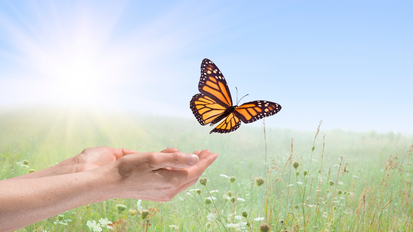 A butterfly flying from a woman’s hands towards a meadow.
Copyright: Darkdiamond67