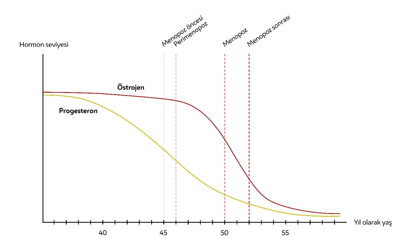 Menopoz yıllarında östrojen ve progesteron hormonlarındaki değişiklikler 