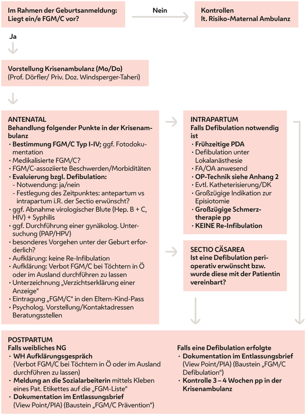 Leitlinie Entscheidungsbaum