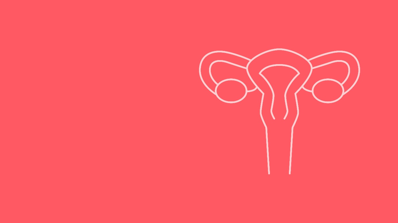 Schmuckgrafik
Copyright: MA 24