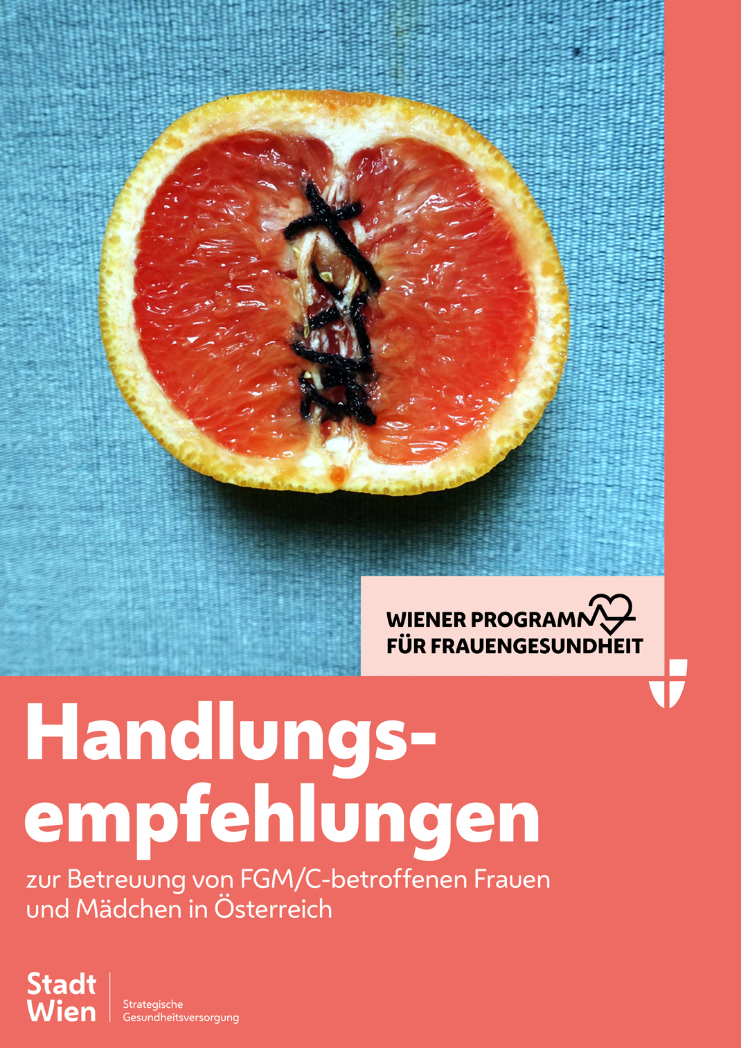 Das FGM/C-Cover zeigt eine halbierte Orange auf blauem Tischtuch. Die Mitte der Frucht ist mit einem schwarzen Faden vernäht.