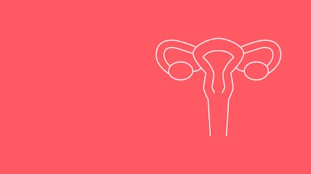 Kapitelbild: Diagramm einer weiblichen Fortpflanzungsorgane-Silhouette auf rotem Hintergrund, das Uterus, Eileiter und Eierstöcke darstellt.