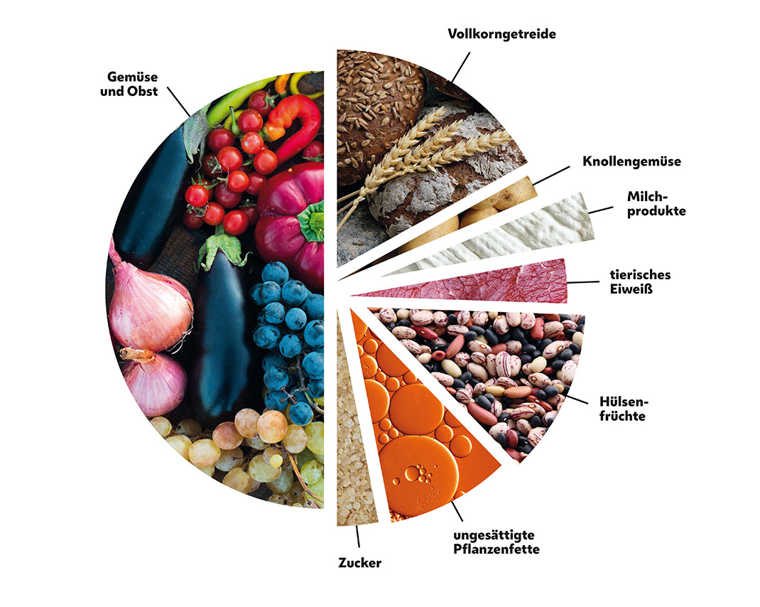 Der Ernährungsplan wird bildlich dargestellt. 50% der Ernährung sollen Obst und Gemüse sein, die restlichen 50% werden auf Hülsenfrüchte, Vollkorngetreide, Milchprodukte, ungesättigte Pflanzenfette und tierisches Eiweiß aufgeteilt werden. 
