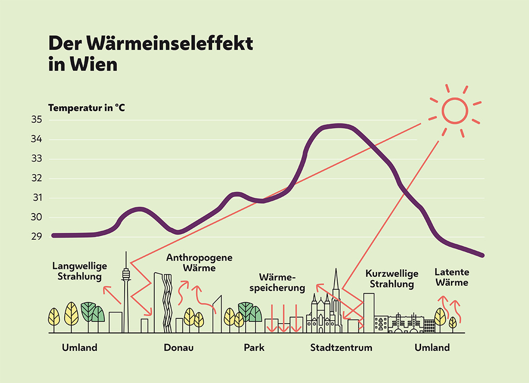Die Grafik zeigt den Wärmeinseleffekt in Wien. Besonders im Stadtzentrum wird es im Sommer sehr heiß. 