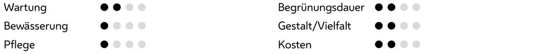 Wartungsintervall: fünf bis 10 Jahre
Bewässerung nach Bedarf
Pflege nach Bedarf
Begrünungsdauer nach ein bis zwei Jahren
Gestalt: mäßig
Kosten: 100-500 €/m²