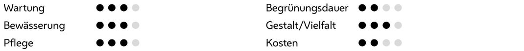 Wartungsintervall: 2-5 Jahre
Bewässerung täglich
Pflege 1-2 mal pro Jahr
Begrünungsdauer nach ein bis zwei Jahren
Gestalt: hoch
Kosten: 100-500 €/m²