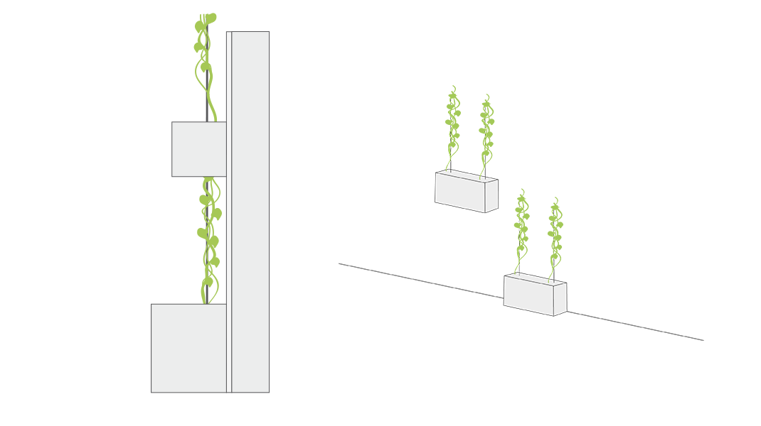 Grafiken einer fassadengebundenen Fassadenbegrünung mit punktuellem teilflächigem Vegetationsträger
© GREEN4CITIES