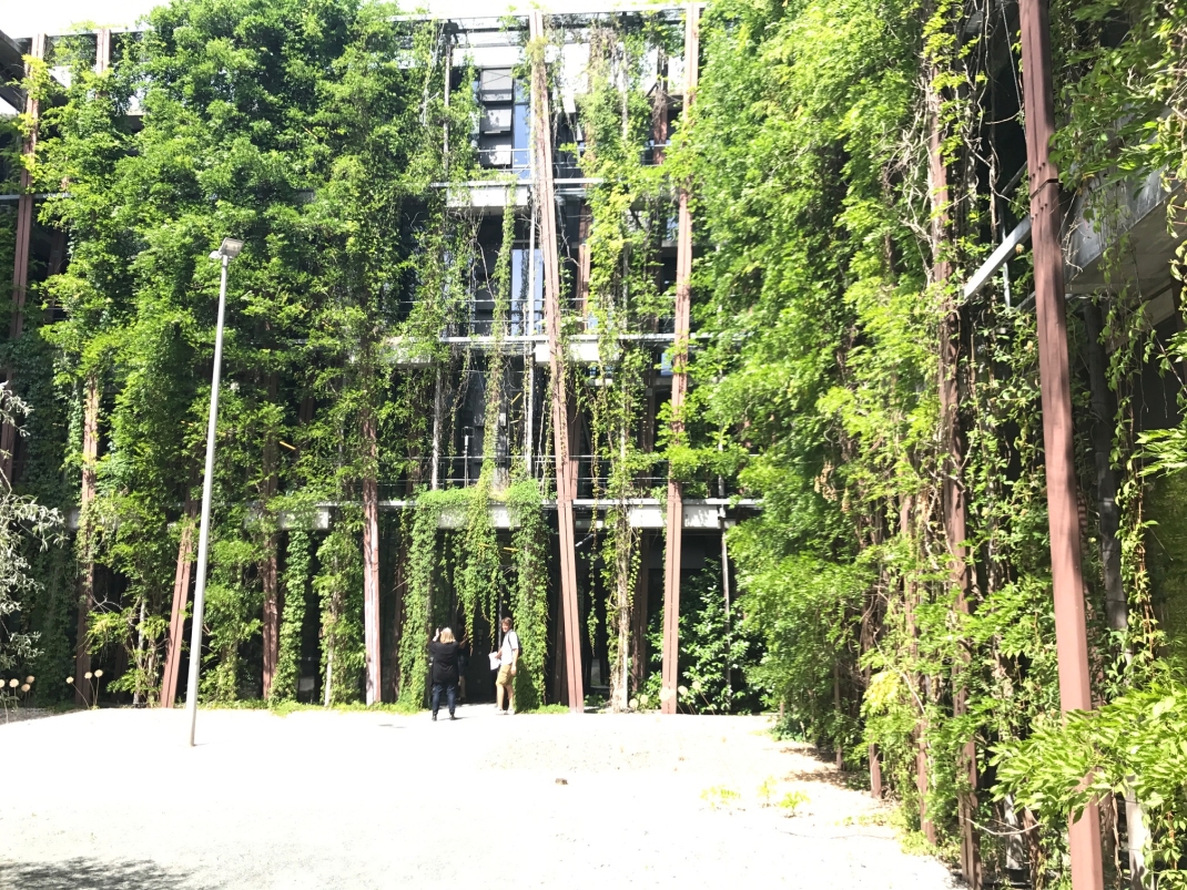 Foto einer fassadengebundenen Fassadenbegrünung mit punktuellem teilflächigem Vegetationsträger
© GREEN4CITIES