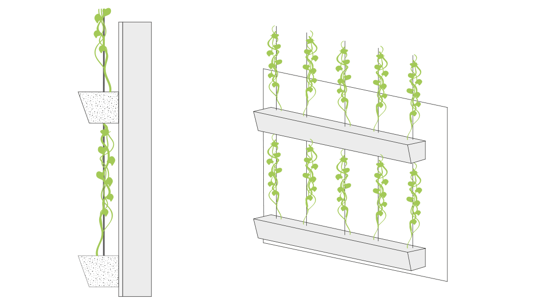 Grafiken einer fassadengebundenen Fassadenbegrünung mit linearem teilflächigem Vegetationsträger mit einem vertikalen Abstand von > 50 cm
© GREEN4CITIES