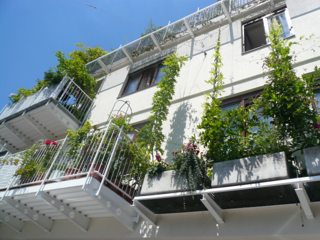 Grafiken einer fassadengebundenen Fassadenbegrünung mit linearem teilflächigem Vegetationsträger mit einem vertikalen Abstand von > 50 cm
© VfB
