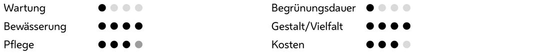 Wartungsintervall: mehr als 10 Jahre
Bewässerung mehrmals täglich
Pflege 1-2 mal pro Jahr
Begrünungsdauer sofort
Gestalt: sehr hoch
Kosten: 500-1000 €/m²