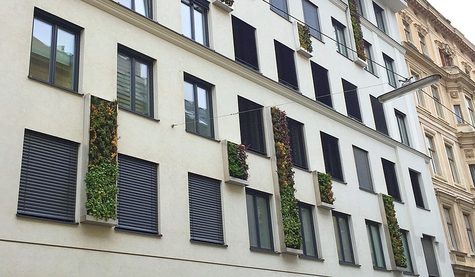 Grafiken einer fassadengebundenen Fassadenbegrünung mit vollflächigem Vegetationsträger im Baukastensystem. Lage der Pflanze im Winkel von < 90 °
(c) VERTICAL MAGIC GARDEN