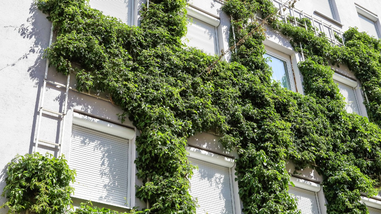 Kapitelbild: Gebäude mit begrünter Fassade. 
Copyright: Stadt Wien - Umweltschutz / Christian Fürthner