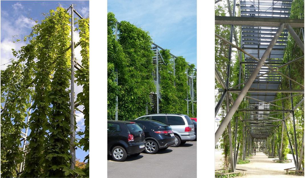drei Fotos von massiven Begrünungskonstruktionen
(c) FASSADENGRÜN bzw. GREENFORCITIES bzw. VfB