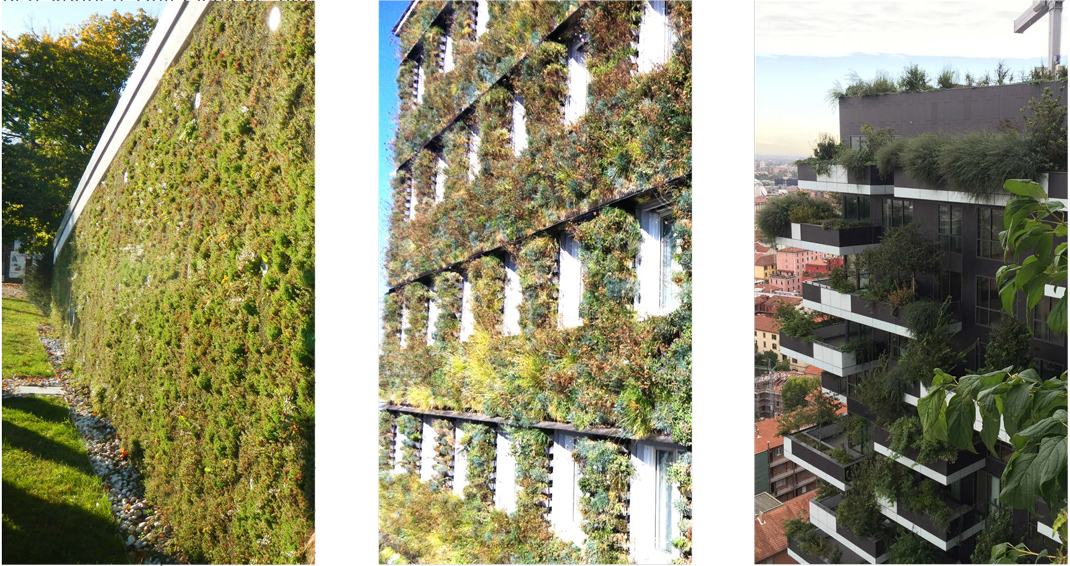 drei Bilder zu Abgrenzungen von Fassadengrün zu Fenstern, Nachbargebäuden oder Rändern bei Feuermauern.
© GREEN4CITIES