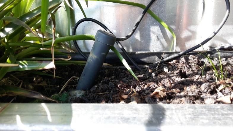 Foto eines Feuchtesensors in einem Pflanztrog
© GREEN4CITIES