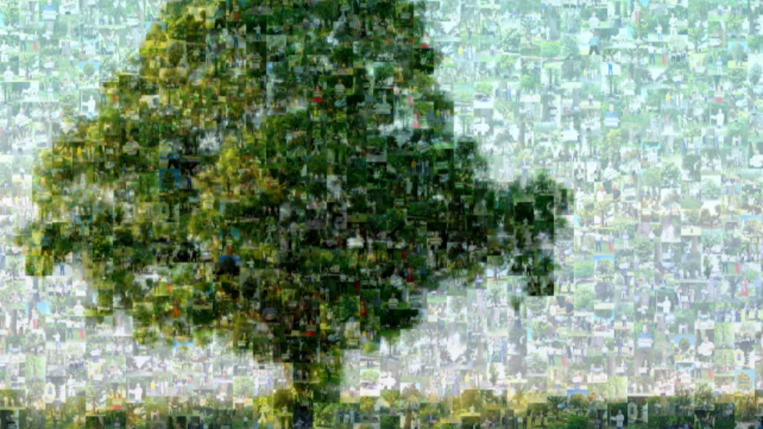 Zusammengesetztes Bild „Baum-Mosaik“ aus den Unterzeichner*innen der österreichischen Baumkonvention
