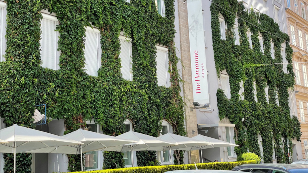 Begrünte Fassade am Hotel in der Harmoniegasse 5-7, 1090 Wien