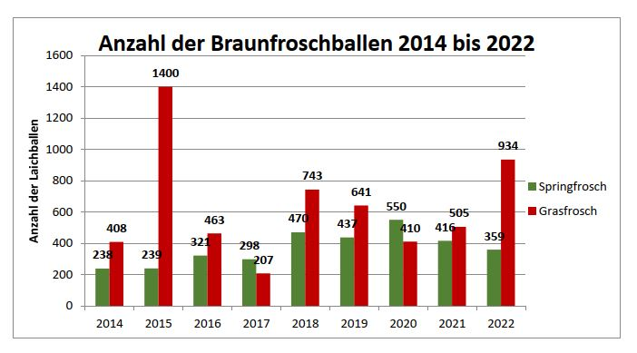 Balken-Diagramme.: Übersicht über die Schwankungsbreite der jährlichen Anzahl an Laichballen des Springfrosches (grün) und des Grasfrosches (rot) seit dem Jahr 2014