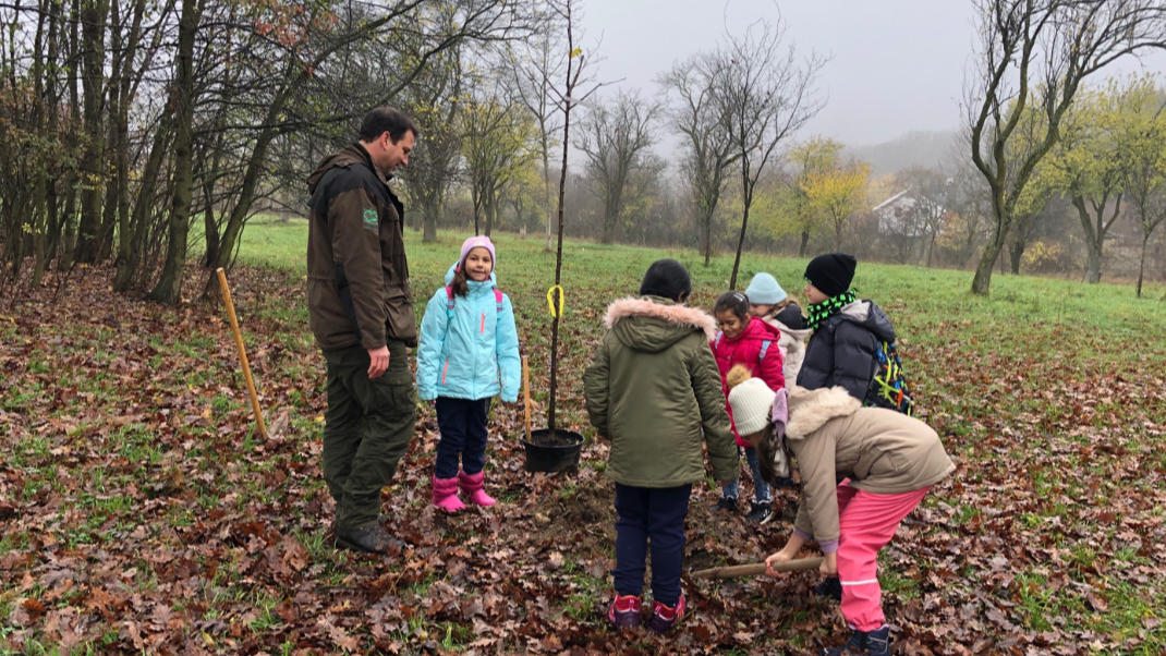Eine Gruppe von Kindern und ein Erwachsener beim Planzen eines Obstbaums 