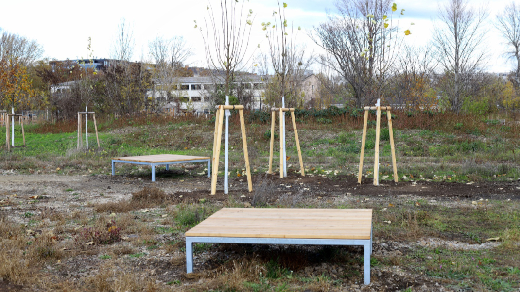 Parkanlage Nordbahnhof – Freie Mitte mit neu aufgestellten Sitz- und Liegebänken und frisch gepflanzten und noch gestützten Bäumen