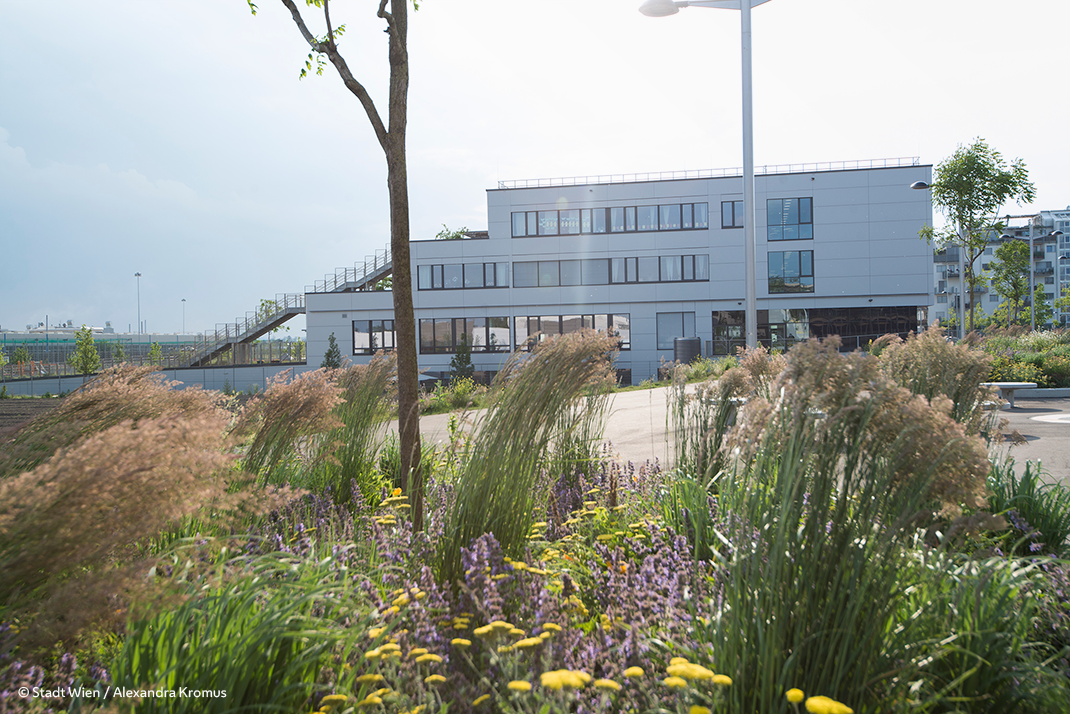 Modernes Flachdachgebäude mit Gehwegen und Grünflächen davor