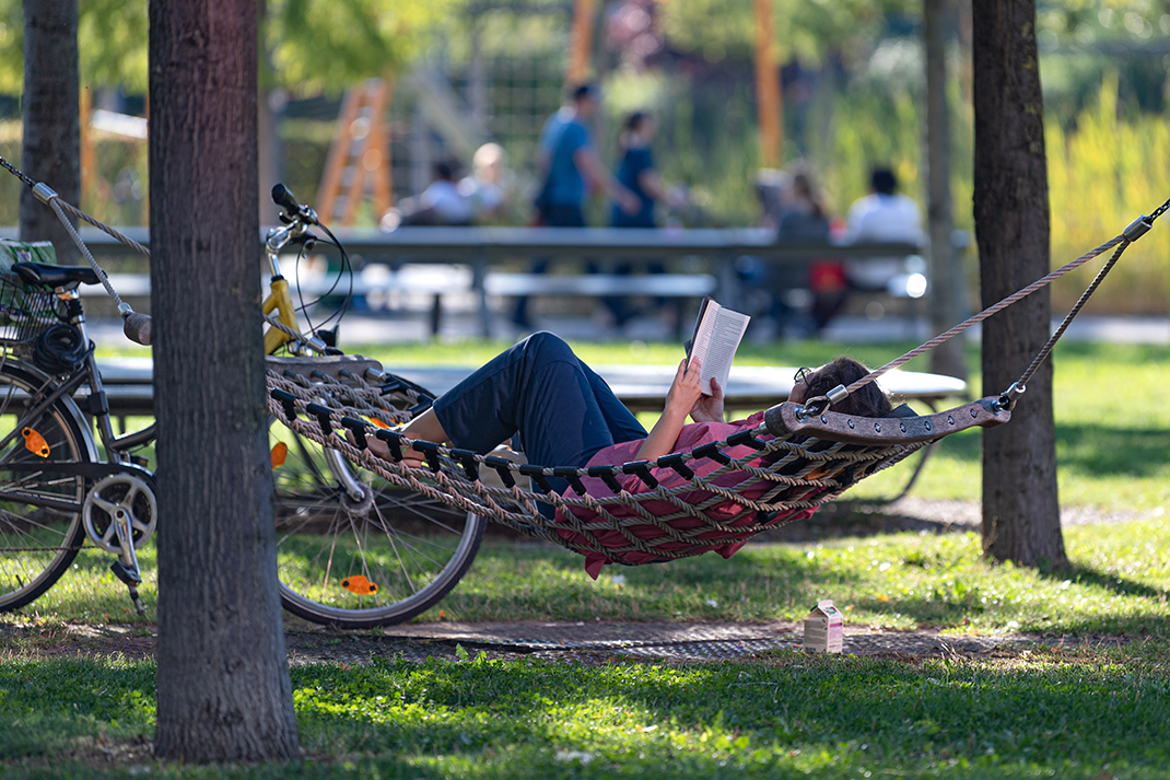 Lesende Frau auf Hängematte im Park