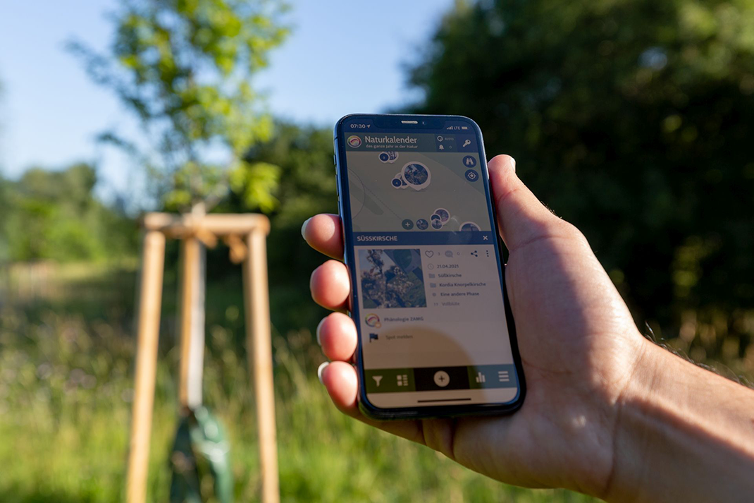 Smartphone in einer Hand mit Kartenapp, im Hintergrund Grünraum