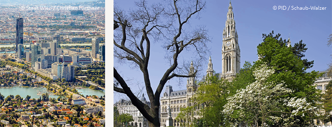 Zwei Fotos: die Wiener Donauplatte aus der Luft und er Wiener Rathausplatz im Frühling