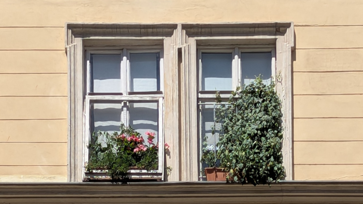 Kapitelbild: Begrünte Fenster an einem dekorierten Gründerzeithaus.