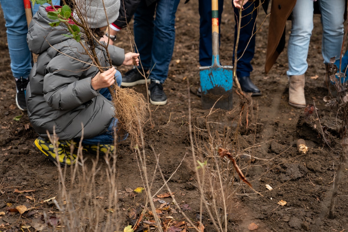 Abbildung: Schüler*innen pflanzten das erste Wiener Wäldchen in Margareten. © David Bohmann